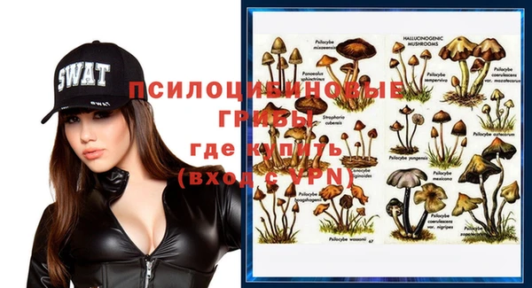 хмурый Армянск